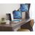 Manhattan TV & Monitor Mount, Wall, Full Motion (Gas Spr | 461627