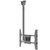 HAGOR PLD series Large Single - Mounting kit (ceiling moun | 8602