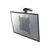 NewStar FPMA-C020 - Bracket - for LCD display (f | FPMA-C020BLACK