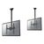 NewStar NeoMounts NM-C440 - Bracket - for LCD disp | NM-C440BLACK
