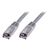 DIGITUS Ecoline - Patch cable - RJ-45 (M) to RJ-45  | DK-1532-100
