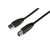 ASSMANN - USB cable - USB Type A (M) to USB Typ | AK-300115-018-S