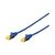 DIGITUS - Patch cable - RJ-45 (M) to RJ-45 (M)  | DK-1644-A-100/B