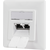 LogiLink Cat.6A Netzwerkdose UP2x RJ45 geschirmt signalw | NP0127