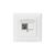 Digitus Professional DN-93832 - Faceplate - 2 ports