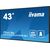iiyama ProLite LH4365UHSB-B1 - 43" Diagonal Class (42.5" viewable