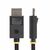 StarTech.com 1m DisplayPort 2.1 Cable, VESA- | DP21-1M-DP40-CABLE