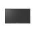 Neovo PM-3202 - 32" Diagonal Class (31.5" viewabl | PM322011M0000