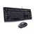 Logitech Desktop MK120 - Keyboard and mouse set - US | 920-002540