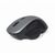 Gembird MUSW-6B-02-BG - Mouse - ergonomic - optical - 6 buttons -