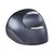 Bakker Elkhuizen Evoluent D Large - Vertical mouse - e | BNEEVRDL
