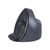 Bakker Elkhuizen Evoluent D Large - Vertical mouse - e | BNEEVRDL