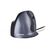 Bakker Elkhuizen Evoluent D Large - Vertical mouse - e | BNEEVRDL
