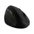 Kensington Pro Fit Ergo Wireless Mouse - Vertical mous | K79810WW