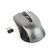 Gembird MUSW-4B-04-BG - Mouse - optical - 4 buttons - wireless -