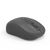 Inca IWM-331RS / Ambidextrous / Optical / RF Wireless / 1600 DPI