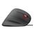 Trust GXT 144 Rexx - Vertical mouse - ergonomic - right-h | 22991
