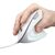 Trust Verto / Right-hand / Optical / USB Type-A / 1600 DP | 25133