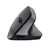 Trust Bayo II - Vertical mouse - ergonomic - right-handed | 25145