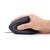 Gembird MUS-ERGO-01 - Vertical mouse - ergonomic - optical - 6 bu