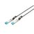 DIGITUS Professional - 10GBase direct attach cable  | DN-81220-01