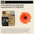 HP 924e EvoMore - Black - original - ink cartridge  | 4K0V0NE#SE1