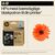 HP 924e EvoMore - Black - original - ink cartridge  | 4K0V0NE#SE1