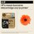 HP 924e EvoMore - Black - original - ink cartridge  | 4K0V0NE#SE1