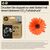 HP 924e EvoMore - Black - original - ink cartridge  | 4K0V0NE#SE1