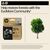 HP 924e EvoMore - Black - original - ink cartridge  | 4K0V0NE#SE1