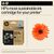 HP 924e EvoMore - Black - original - ink cartridge  | 4K0V0NE#SE1