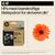 HP 924e EvoMore - Black - original - ink cartridge  | 4K0V0NE#SE1