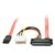 Lindy - SATA cable - 4 PIN internal power, SATA to SATA c | 33364