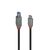 Lindy Anthra Line - USB cable - 24 pin USB-C (M) to USB T | 36665