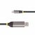 StarTech.com 10ft (3m) USB-C to DisplayPort  | 142-USBC-DP-8K-10F