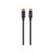 Manhattan DisplayPort 1.4 Cable, 8K@60hz, 2m, PVC Cable, | 355575