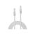 Lindy Basic - Patch cable - RJ-45 (M) to RJ-45 (M) - 30 c | 48200