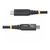 StarTech.com 50cm (1.6ft) USB4 Cable, USB-IF | 50C-40G-USB4-CABLE