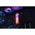 Kingston FURY Beast RGB - DDR5 - module - 8 GB -  | KF556C40BBA-8