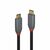 Lindy 2m USB 3.2 Typ C Kabel 5A PD Anthra Line - 2 m | 36903
