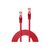 Lindy Basic - Patch cable - RJ-45 (M) to RJ-45 (M) - 1 m  | 47362