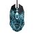 Trust Gaming-Maus mit BASICS-Pad GXT-105X und GXT 754 24752
