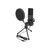 DeLOCK USB Condenser Microphone Set for Podcasting, Gamin | 66331