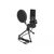 DeLOCK USB Condenser Microphone Set for Podcasting, Gamin | 66331