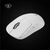 Logitech PRO X SUPERLIGHT Wireless Gaming Mouse - Mo | 910-005943