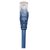Intellinet Network Patch Cable, Cat6, 0.25m, Blue, Coppe | 739832