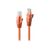 Lindy - Patch cable - RJ-45 (M) to RJ-45 (M) - 1 m - UTP  | 48107