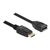 Delock - DisplayPort extension cable - DisplayPort (M) to | 80004