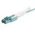 StarTech.com MTP to LC Breakout Cable - 30 ft / 10m | MPO8LCPL10M