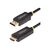 StarTech.com 9.8ft (3m) DisplayPort to HDM | 10F-DP-HDMI-4K60-HDR